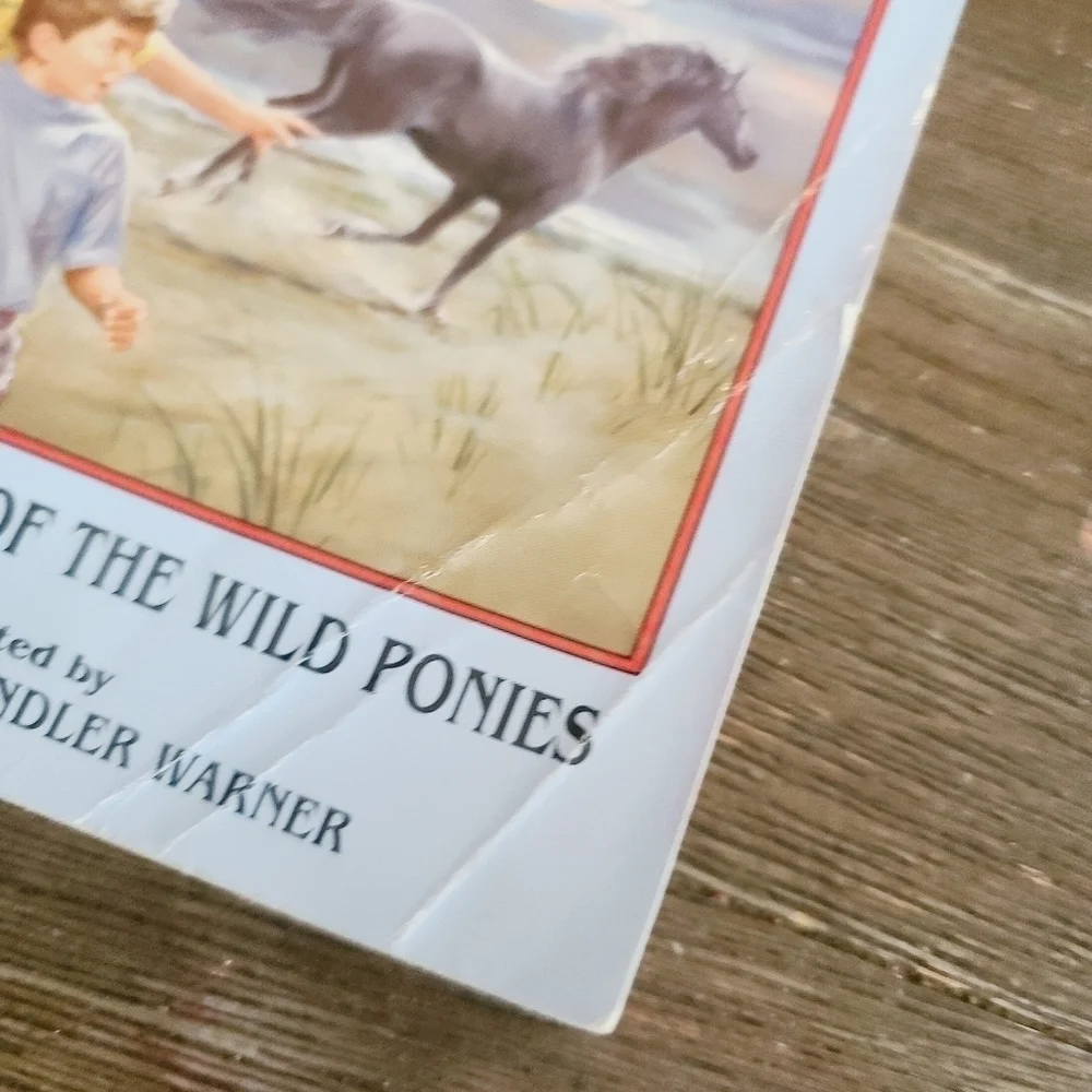 Vintage The Boxcar Children #77 The Mystery of the Wild Ponies Book